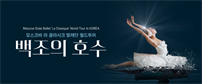 이벤트배너